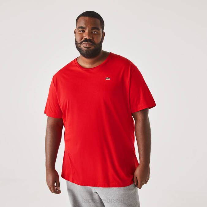 Lacoste homens camiseta gola redonda em jersey de algodão xl vermelho P2PX756 roupas