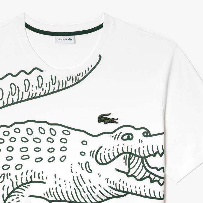 Lacoste homens camiseta jersey folgada - plus size - grande branco P2PX227 roupas