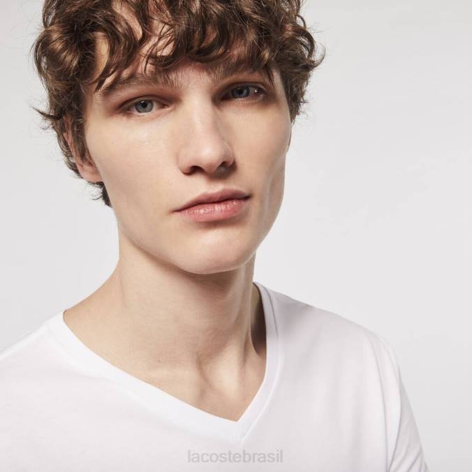 Lacoste homens camiseta lounge de algodão com decote em V, pacote com 3 branco P2PX1335 roupas