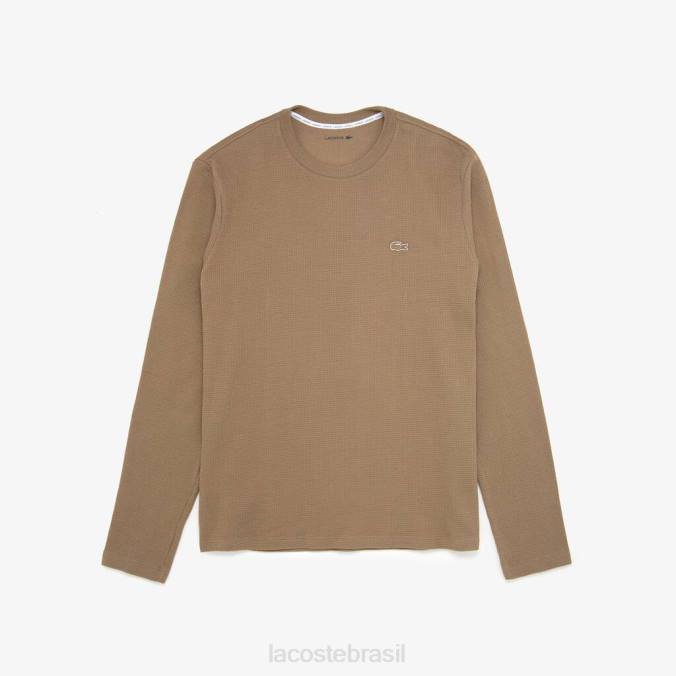 Lacoste homens camiseta lounge manga longa marrom claro P2PX263 roupas
