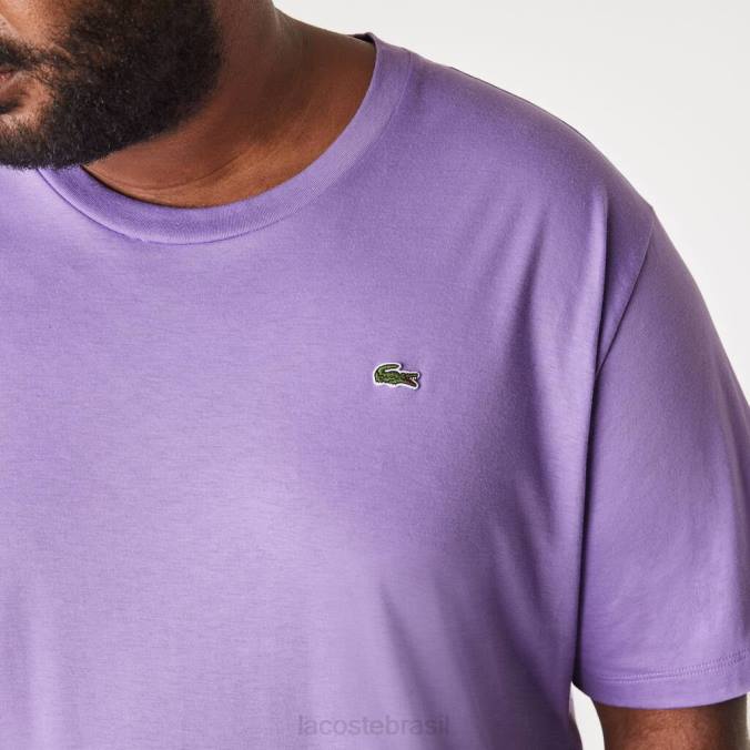 Lacoste homens camiseta regular fit em jersey de algodão pima roxo P2PX822 roupas