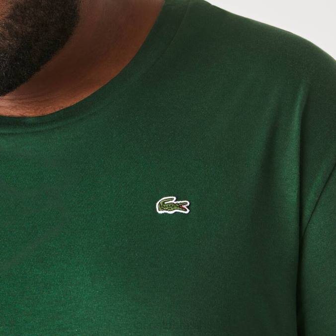 Lacoste homens camiseta regular fit em jersey de algodão pima verde P2PX684 roupas