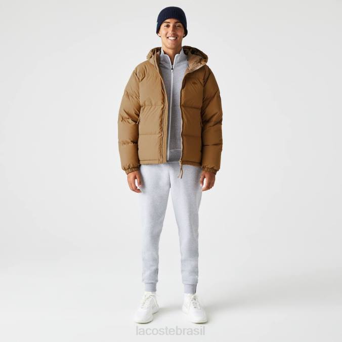 Lacoste homens jaqueta acolchoada hidrorrepelente marrom P2PX1231 roupas