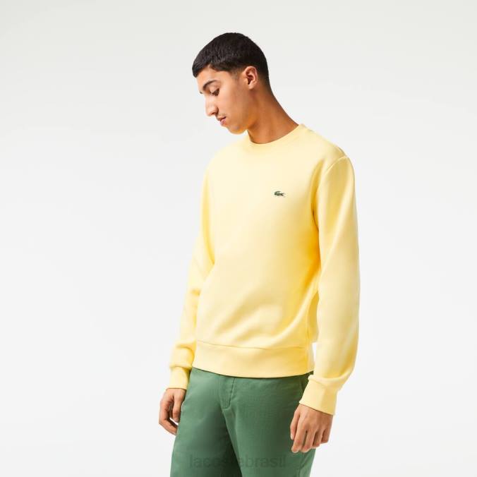 Lacoste homens moletom de algodão escovado orgânico amarelo P2PX271 roupas