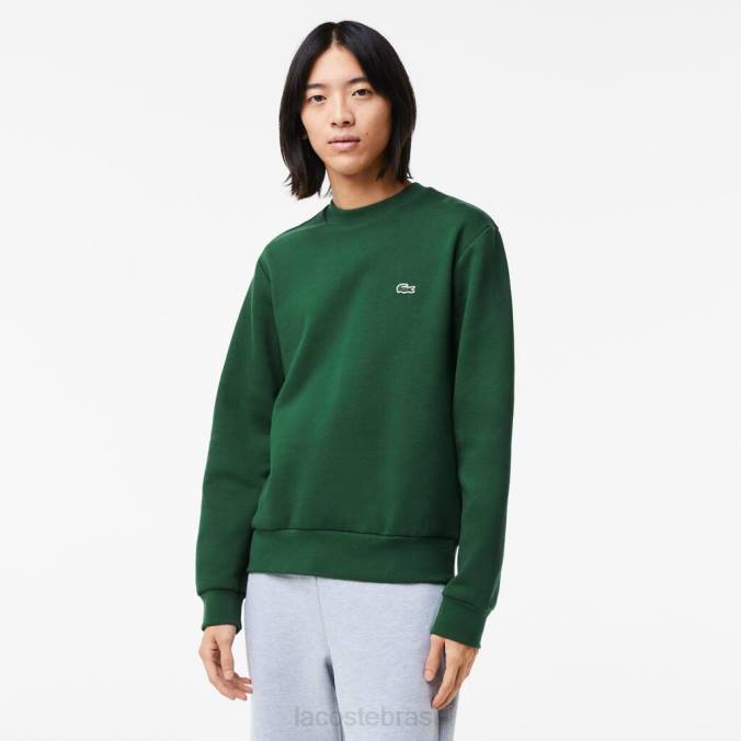 Lacoste homens moletom de algodão escovado orgânico verde P2PX281 roupas
