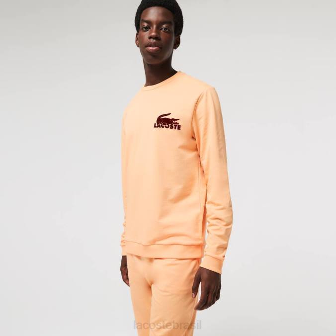 Lacoste homens moletom de lã de algodão laranja claro/bordô P2PX1389 roupas