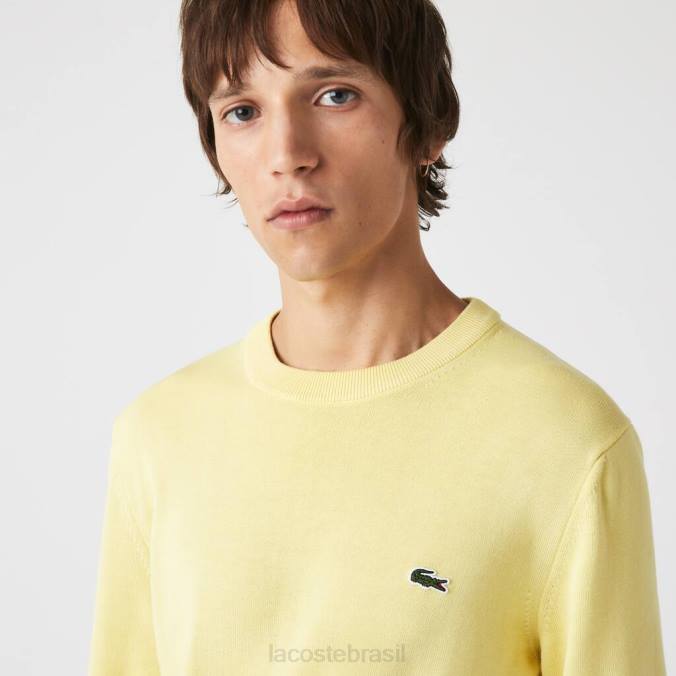 Lacoste homens suéter gola redonda em algodão orgânico amarelo P2PX1617 roupas