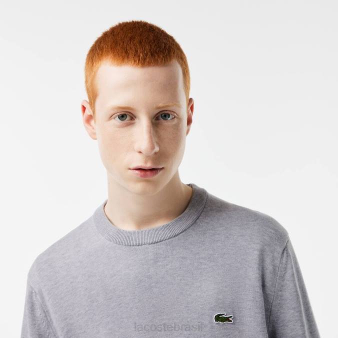 Lacoste homens suéter gola redonda em algodão orgânico chino cinza P2PX1452 roupas