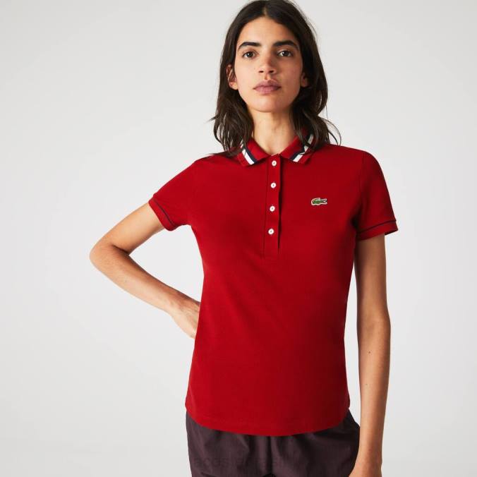 Lacoste mulheres Polo piquê de algodão orgânico slim fit fabricado na França vermelho/branco/azul marinho P2PX2506 roupas