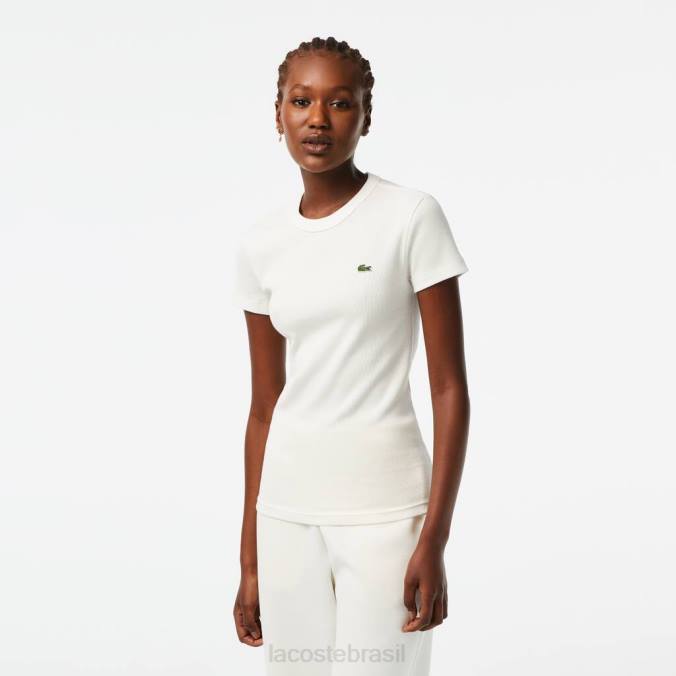 Lacoste mulheres camiseta slim fit de algodão orgânico branco P2PX2384 roupas