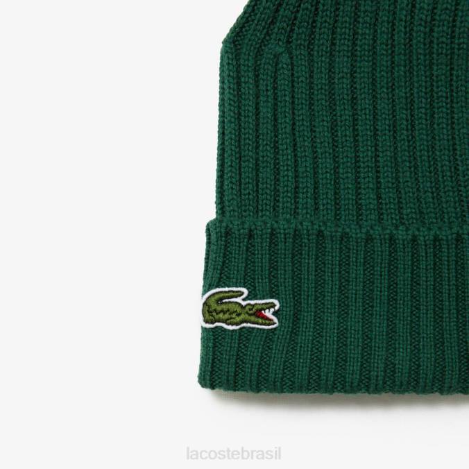 Lacoste unissex gorro de lã canelado verde P2PX2229 acessórios
