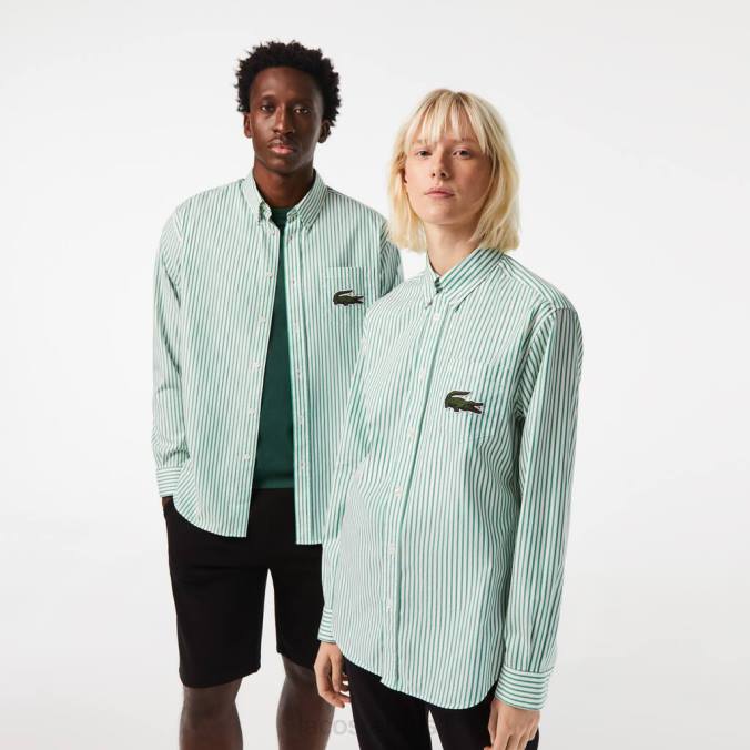 Lacoste unissex camisa grande de algodão crocodilo com ajuste relaxado Branco Verde P2PX411 roupas